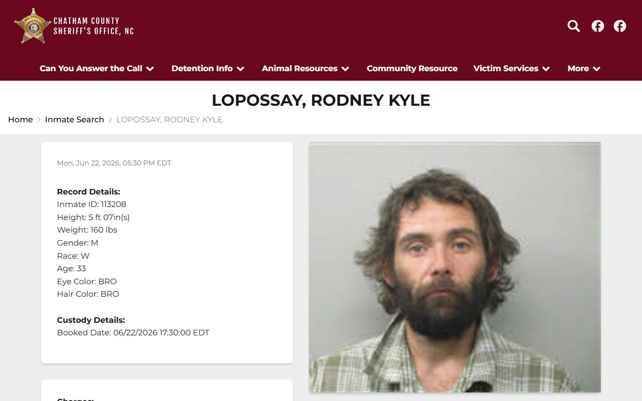 Chatham County inmate record sample profile with mugshot and charges